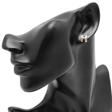 将图像加载到图库查看器中，HERMES Pop Ash Earrings Size Mini Marong rasse Metal Lacquer
