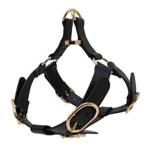 将图像加载到图库查看器中，GUCCI Pet Harness Black695253 Leather
