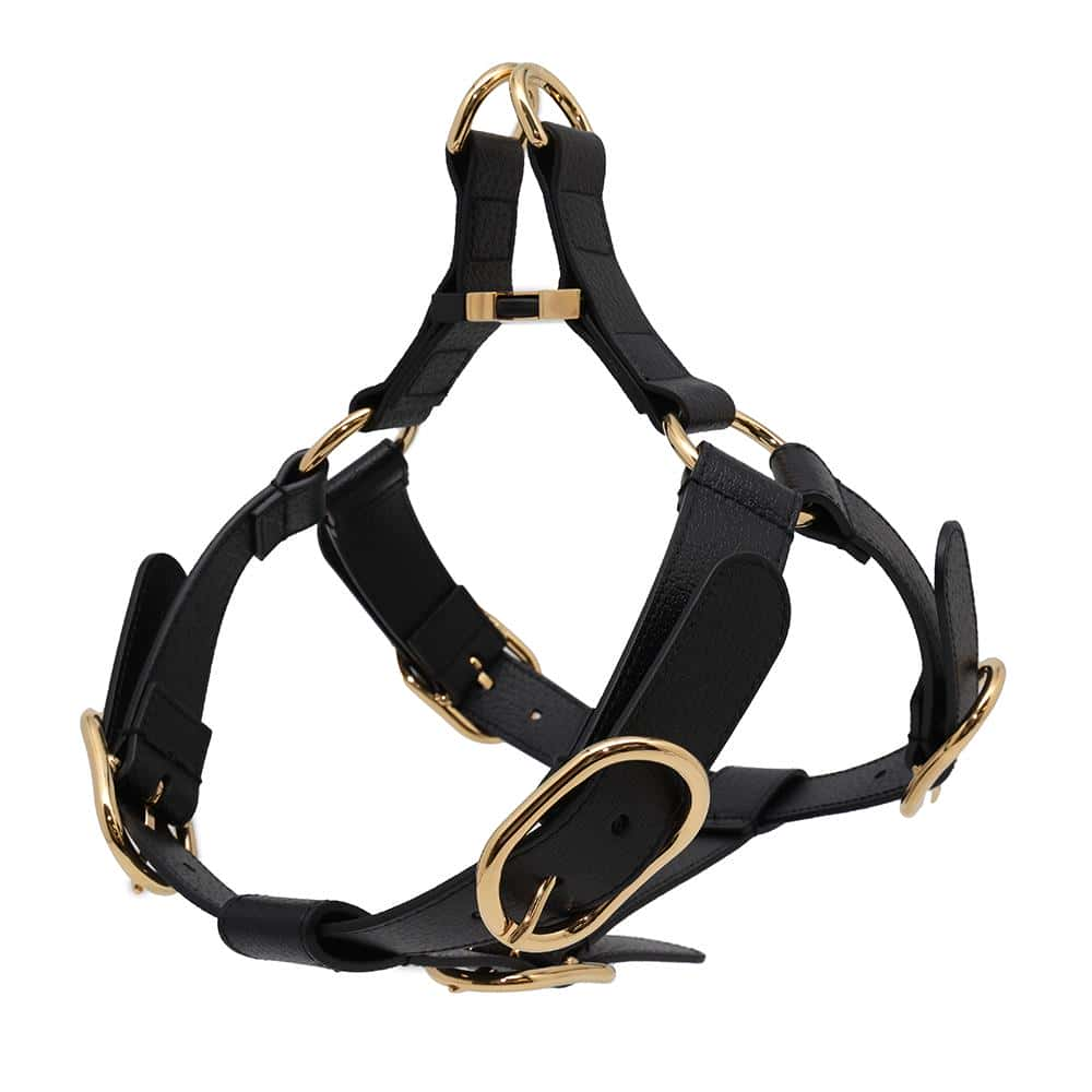 GUCCI Pet Harness Black695253 Leather