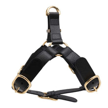 将图像加载到图库查看器中，GUCCI Pet Harness Black695253 Leather
