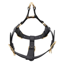 将图像加载到图库查看器中，GUCCI Pet Harness Black695253 Leather
