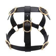 将图像加载到图库查看器中，GUCCI Pet Harness Black695253 Leather
