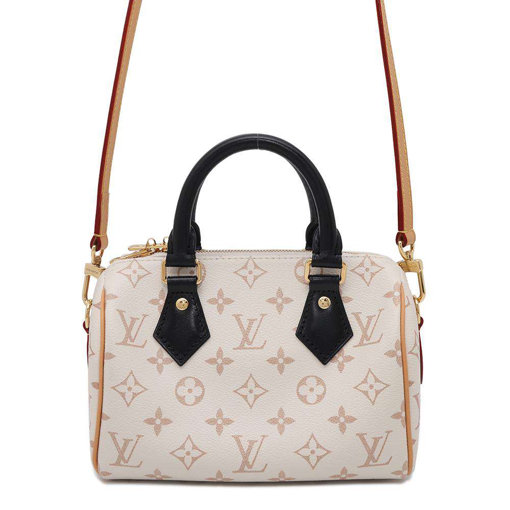 LOUIS VUITTON Speedy Bandouliere DuneM46906 Monogram・Dune Size 20