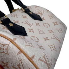 将图像加载到图库查看器中，LOUIS VUITTON Speedy Bandouliere DuneM46906 Monogram・Dune Size 20
