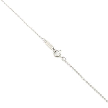 Load image into Gallery viewer, TIFFANY&amp;Co. Solitaire Necklace60007525 Pt950
