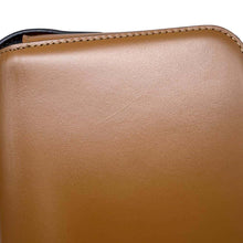 将图像加载到图库查看器中，CELINE Triomphe Shoulder Camel191903BF4 Calf Leather Size Nano
