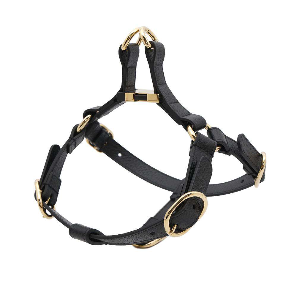 GUCCI Pet Harnesses Black692963 Leather Size S