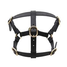 Load image into Gallery viewer, GUCCI Pet Harnesses Black692963 Leather Size S
