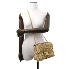 Load image into Gallery viewer, CELINE ChainShoulder Leopard Brown Leather
