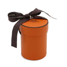 Load image into Gallery viewer, HERMES Twilly Bouquets Sellie Saddler&#39;s Bouquet Blanc/Black/Caramel Silk100%
