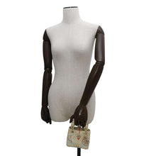 Load image into Gallery viewer, Dior ★Lady Dior Multicolor Leather Size micro
