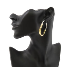 Load image into Gallery viewer, TIFFANY&amp;Co. Padlock Earrings Size Extra large K18YG K18WG
