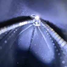 Load image into Gallery viewer, LOUIS VUITTON Portefeuille Brazza NoirN62665 Damier Graphite
