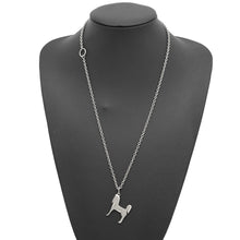 Load image into Gallery viewer, HERMES Panash Necklace Silver Metal
