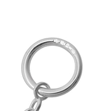 将图像加载到图库查看器中，HERMES Chaine d&#39;Ancre Farandole Long Necklace Size 120 SV925
