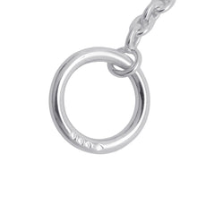 Load image into Gallery viewer, HERMES Chaine d&#39;Ancre Necklace Farandole Size 120 SV925
