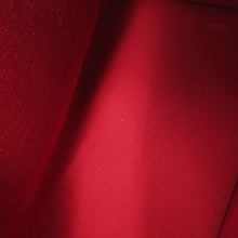 Load image into Gallery viewer, LOUIS VUITTON Speedy Bandouliere Red/BrownM46222 Monogram Size 20
