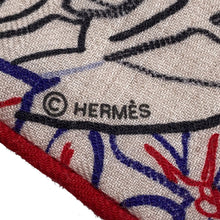 Load image into Gallery viewer, HERMES Triangle Geant Flamingo Party Coloriage Natural/Rouge/BlueH364114S Cashmere70% Silk30%
