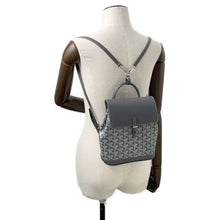 Load image into Gallery viewer, GOYARD Alpan Backpack GrayALPIN2MINTY51CL51P PVC Leather Size Mini
