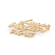 Load image into Gallery viewer, LOUIS VUITTON Brooch・LV Script GoldM03098 Metal
