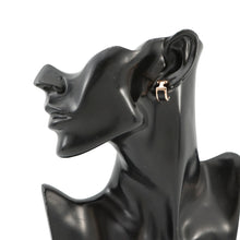 将图像加载到图库查看器中，HERMES Olymp Earrings Size PM Black Metal Box Calf Leather
