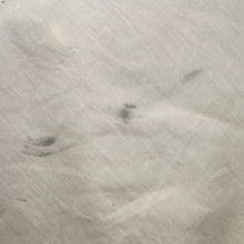 将图像加载到图库查看器中，Stella McCartney ★Studded tote Black Leather
