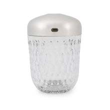 将图像加载到图库查看器中，SAINT LOUIS Folia Table Lamp Glass Silver150BF500 Aluminum glass

