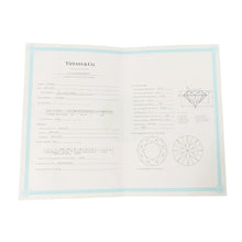 Load image into Gallery viewer, TIFFANY&amp;Co. By the Yard Single Diamond Pendant 18K Yellow Gold
