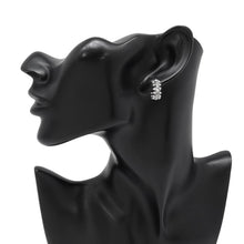 Load image into Gallery viewer, CARTIER Crash de Cartier Earrings Size MiniB8301521 18K White Gold
