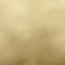 将图像加载到图库查看器中，CELINE museum bag Natural/Tan194542 TriompheCanvas Leather
