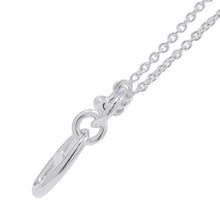 将图像加载到图库查看器中，HERMES Chaine d&#39;Ancre Amulette Necklace SV925
