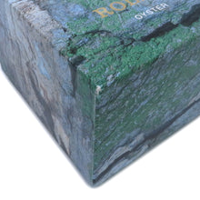 将图像加载到图库查看器中，ROLEX Explorer II W40mm Stainless Steel White Dial16570
