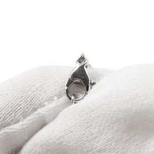 将图像加载到图库查看器中，HARRY WINSTON Loop / Pendant Size Extra largePEDPPLXLLP Pt950
