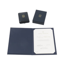 将图像加载到图库查看器中，HARRY WINSTON Loop / Pendant Size Extra largePEDPPLXLLP Pt950
