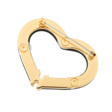 Load image into Gallery viewer, HERMES Brooch &quot;Au Coeur du Fauve&quot; Black Swift Leather Gold Plated
