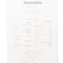 将图像加载到图库查看器中，TIFFANY&amp;Co. By the Yard Single Diamond Pendant Pt950

