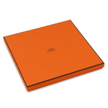 Load image into Gallery viewer, HERMES Scarf Carre Mystery at 24 Gris Pale/Vert/Jaune Silk 100%
