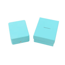 Load image into Gallery viewer, TIFFANY&amp;Co. By the yard Necklace Pt950
