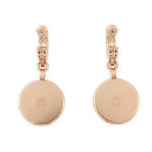 将图像加载到图库查看器中，HERMES Blason Earrings Fauve Metal
