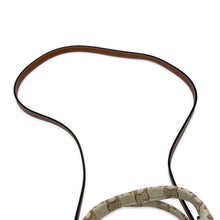 将图像加载到图库查看器中，CELINE Small Kabatais 2-Way Bag Beige/Brown199162 Canvas Leather
