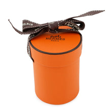 将图像加载到图库查看器中，HERMES Twilly HERMES STORY Blue Pale/Rose/Vert063875S Silk100%
