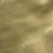 Load image into Gallery viewer, LOEWE Flamenco Purse 2WAY Shoulder Bag BeigeA411FPDX12 suede Size Large
