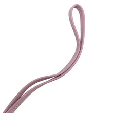 将图像加载到图库查看器中，HERMES Rodeo Pegasus Bag Charm Chai/Mauve Sylvestre/Menthe Lambskin Size PM
