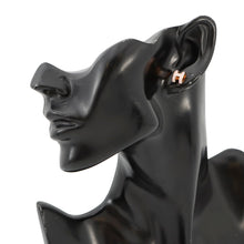 将图像加载到图库查看器中，HERMES Pop Ash H Size Mini Rose Dragee Metal Lacquer
