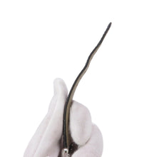 Load image into Gallery viewer, CARTIER tank mast SM W22mm×H29.5mm Stainless Steel Leather Silver DialWSTA0042
