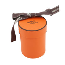 Load image into Gallery viewer, HERMES Twilly &quot;Grand Theatre Nouveau&quot; Pink /Yellow/Multicolor Silk100%
