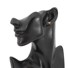 将图像加载到图库查看器中，HERMES HERMES Pop Ash Earrings Size Mini Galaxy Metal Lacquer
