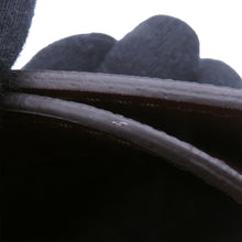 将图像加载到图库查看器中，LOUIS VUITTON Papillon Trunk BrownM57835 Monogram
