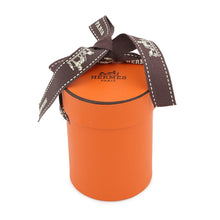 Load image into Gallery viewer, HERMES Scarf Twilly "Grand Theatre Nouveau" Black/Blue/VertH063761S Silk 100%
