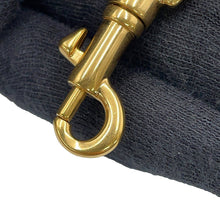 将图像加载到图库查看器中，CELINE Belt bag Cream189003 Leather Size Nano
